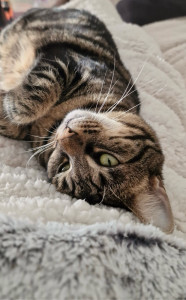 Photo de galerie - Garder le temps d’un week-end de trois jours, j’adore créer des moments uniques avec votre animal