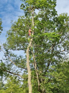 Photo de galerie - Jardinier