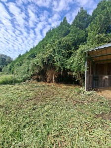 Photo de galerie - Paysagiste - Aménagement du jardin