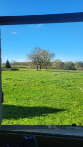 Photo de galerie - Maison de campagne 