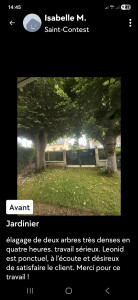 Photo de galerie - Elagage des arbres