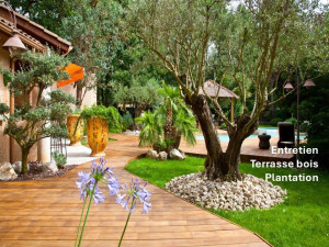 Photo de galerie - Paysagiste - Aménagement du jardin