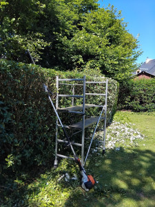 Photo de galerie - Tailles de haies en morbihan 