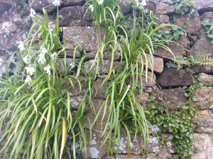 Photo de galerie - Jardinier