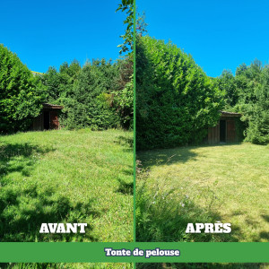 Photo de galerie - Tonte de pelouse - Débroussaillage