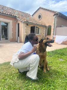 Photo de galerie - Garde chien