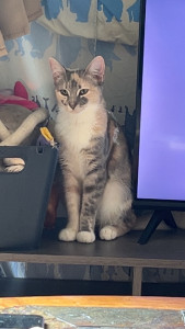 Photo de galerie - Bomi 