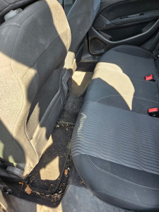 Photo de galerie - Lavage auto