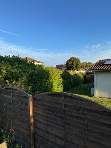 Photo de galerie - Rabattage de haie (Avant)