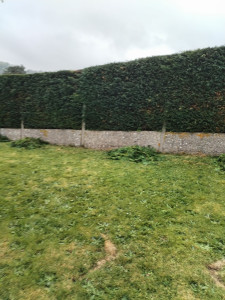 Photo de galerie - Bonjour je vous propose mes services pour l'espace vert et autres 