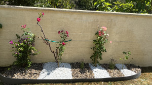 Photo de galerie - Paysagiste - Aménagement du jardin