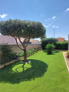 Photo de galerie - Taille de haies et d'arbustes