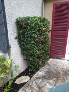 Photo de galerie - Taille 