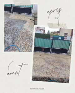 Photo de galerie - Nettoyage allée 