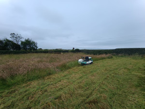 Photo de galerie - Tonte de pelouse - Débroussaillage
