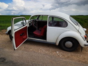 Photo de galerie - Vw bettle 1972