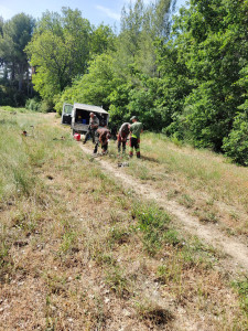Photo de galerie - Débroussaillage 
