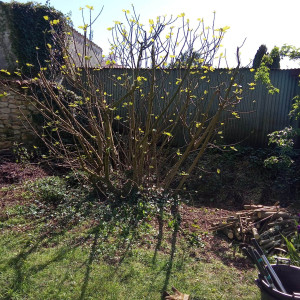 Photo de galerie - Jardinier