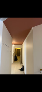 Photo de galerie - Peinture du plafond 