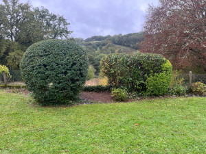 Photo de galerie - Renouvellement de massifs 