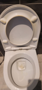 Photo de galerie - Avent nettoyage ⚠️