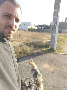 Photo de galerie - Promenade de chien 