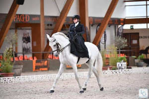 Photo de galerie - Pension chevaux
