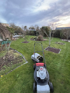 Photo de galerie - Tonte de pelouse - Débroussaillage