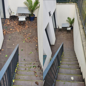 Photo de galerie - Aspirateur de feuilles