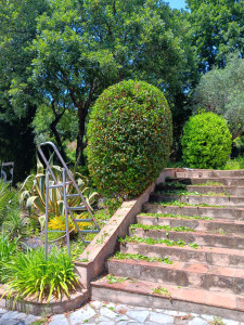 Photo de galerie - Taille arbustes 