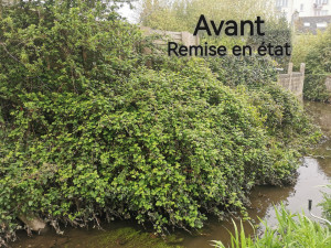 Photo de galerie - Remise en état