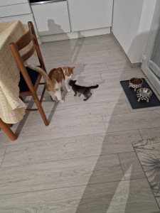 Photo de galerie - .

