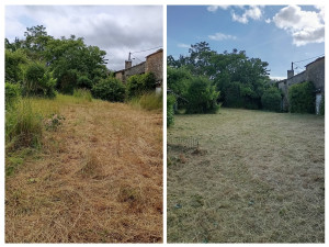 Photo de galerie - Tonte de pelouse - Débroussaillage