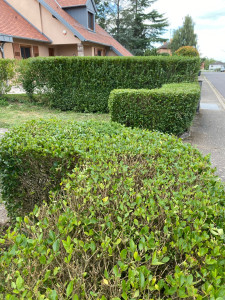 Photo de galerie - Après intervention 