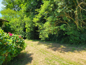 Photo de galerie - Réalisation d'une remise en état de jardin, debrousaillage, tonte ainsi que l'élagage de certains arbres, 

Prestation effectué sur un chantier à Tréguidel (22)