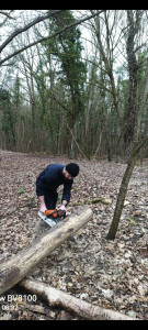 Photo de galerie - Débitage de bois de chauffage pour un particulier.