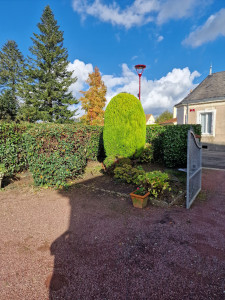 Photo de galerie - Taille de Haie 