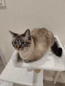 Photo de galerie - Garde de Lili