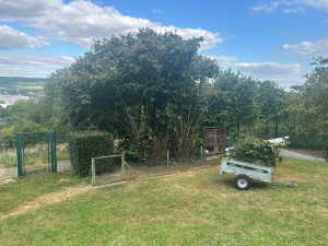 Photo de galerie - Rideau sur noisetier 