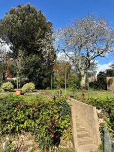 Photo de galerie - Entretien de jardin 