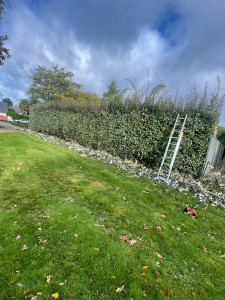 Photo de galerie - Taille 