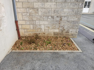 Photo de galerie - Création d’un massif et la plantations