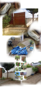 Photo de galerie - Paysagiste - Aménagement du jardin