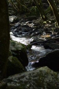Photo de galerie - Photographe