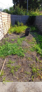 Photo de galerie - Paysagiste - Aménagement du jardin