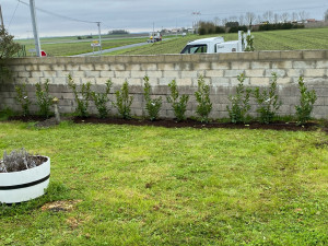 Photo de galerie - Paysagiste - Aménagement du jardin