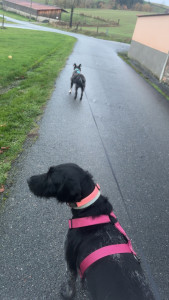 Photo de galerie - Balade 