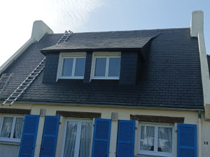 Photo de galerie - Remplacement de tuiles faîtage