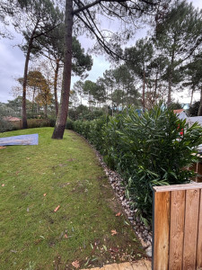 Photo de galerie - Paysagiste - Aménagement du jardin