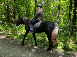 Photo de galerie - Pratique l'équitation et travail dans ce domaine 